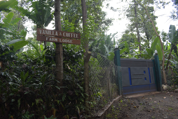 Coffee and Vanilla Farm Tour