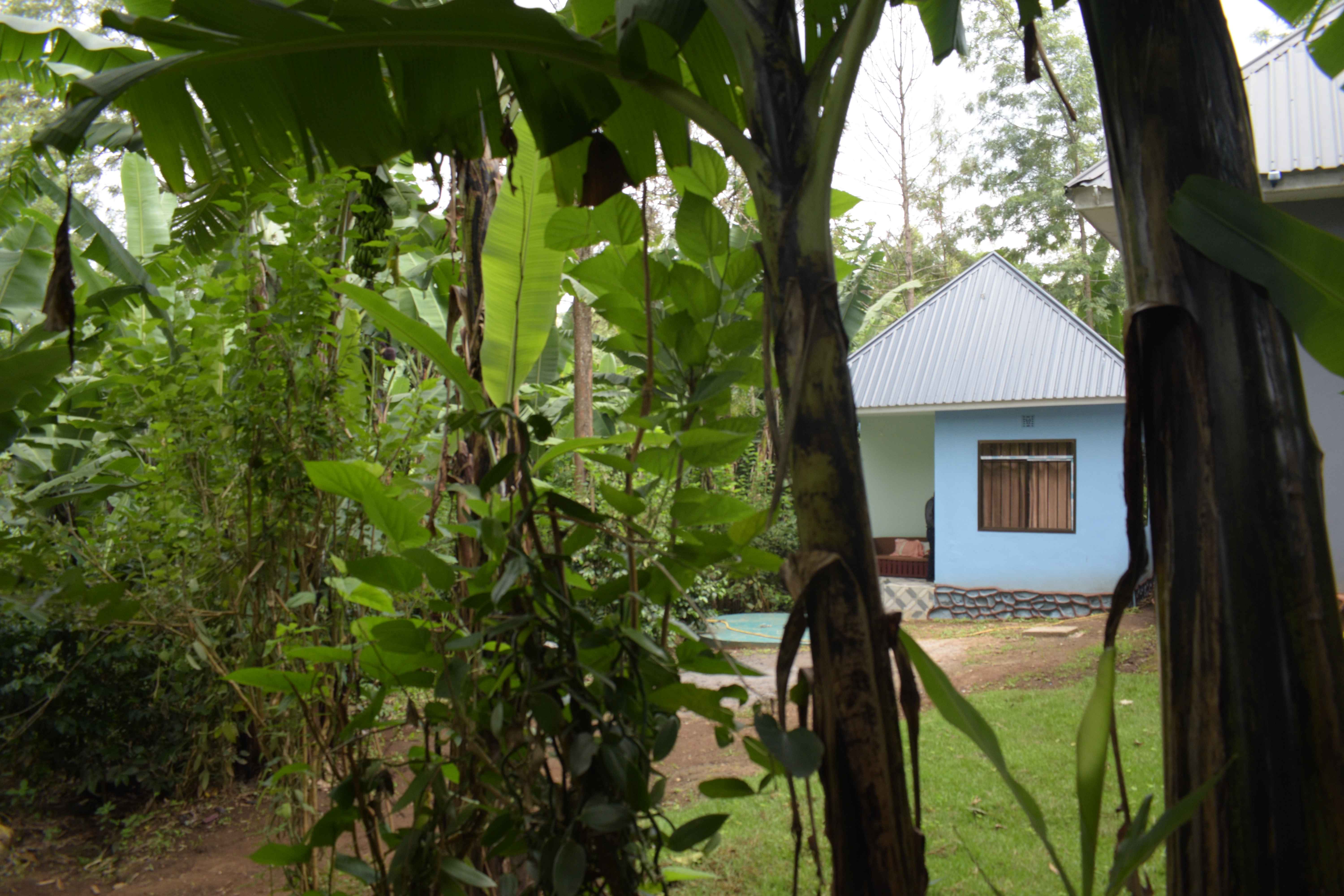 Plantation View Double Room